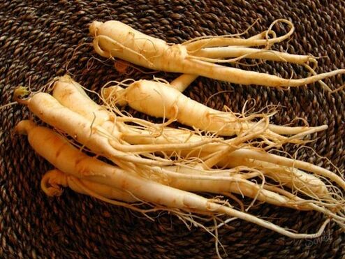 ginseng erro potentzia handitzeko 60 ondoren